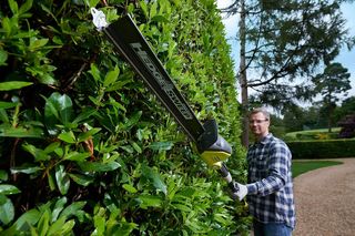 Cortasetos Pértiga Ryobi 18V One+ 45cm