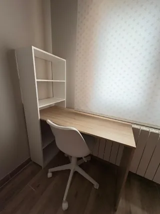 Escritorio y estantería de madera y plástico