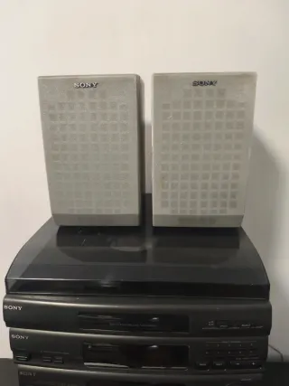 Altavoces Sony Grises