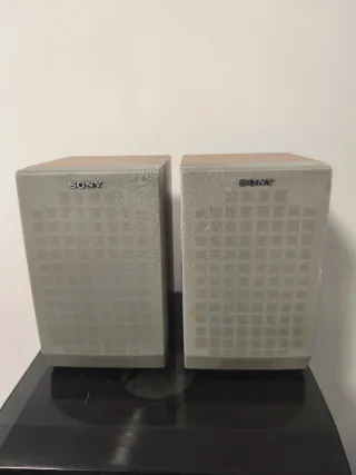 Altavoces Sony Grises