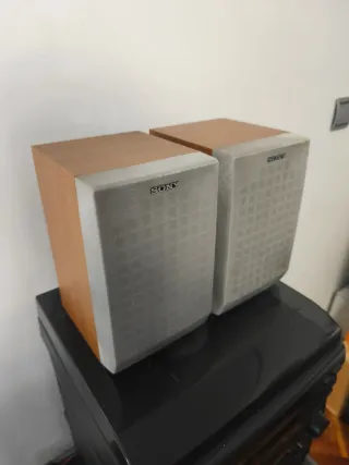 Altavoces Sony Grises