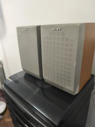 Altavoces Sony Grises