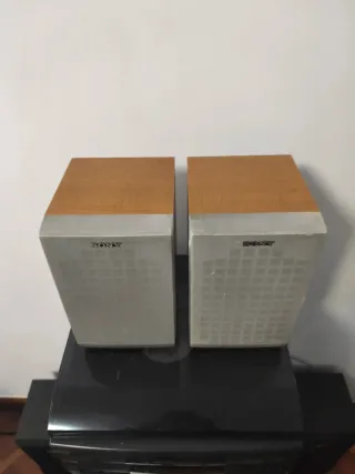 Altavoces Sony Grises