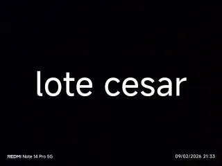 Lote cesar