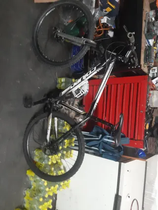 Bicicleta Coluer Montaña