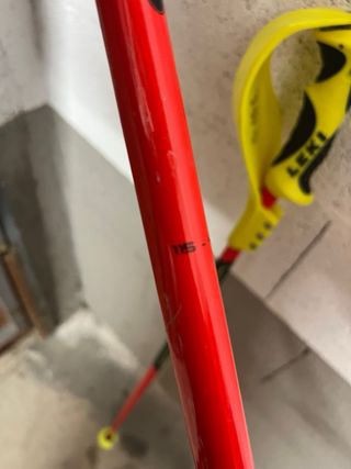 Bastones LEKI Slalom (SL) con protecciones