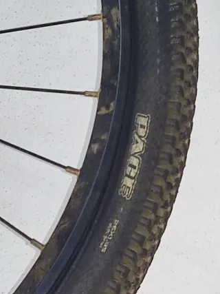 Ruedas Bici 26 Cubiertas Maxxis