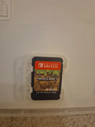 Minecraft Nintendo Switch