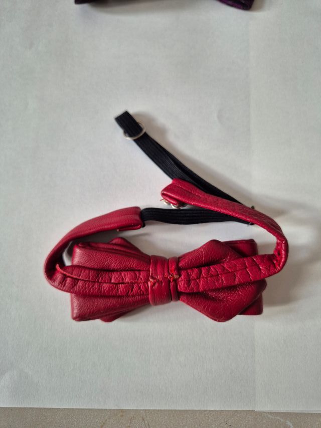 Pajarita Morada y Granate