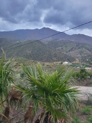 Se alquila casa, pequeña. En el campo. A 10 km