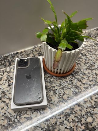 iPhone 12 Pro 128 GB