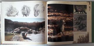 The Art of The Jungle Book