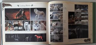 The Art of The Jungle Book