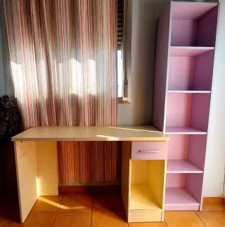 Escritorio y Librería Infantil