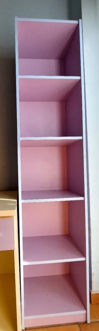 Escritorio y Librería Infantil