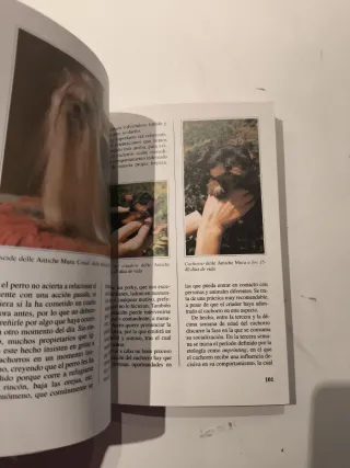 Yorkshire Terrier, El - Perros de Raza (Spanish...