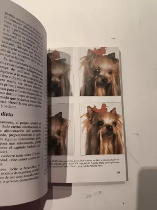 Yorkshire Terrier, El - Perros de Raza (Spanish...