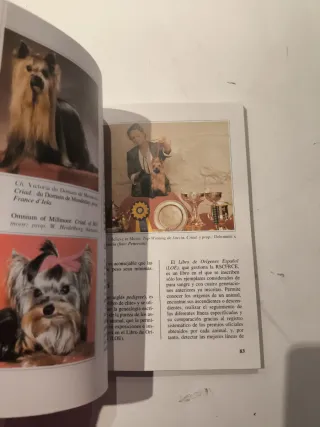 Yorkshire Terrier, El - Perros de Raza (Spanish...