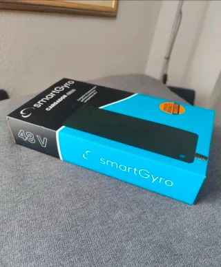 Cargador SmartGyro 48V