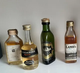 Botellas Miniatura Colección