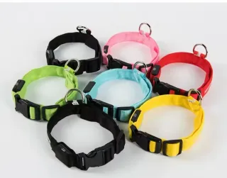 Collar LED para Perro Nailon
