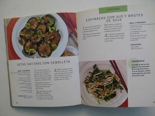 Libro recetas al  Wok cocina Asiatica