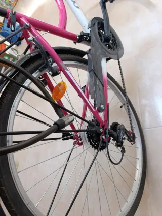 Bicicleta Trekking Mujer