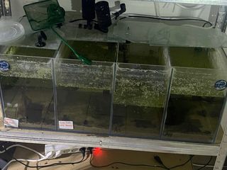 Acuarios divisibles para peces
