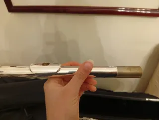 Flauto traverso fori chiusi