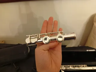 Flauto traverso fori chiusi