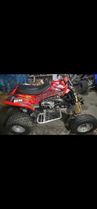 Despiece Gas Gas Wild 300 2T