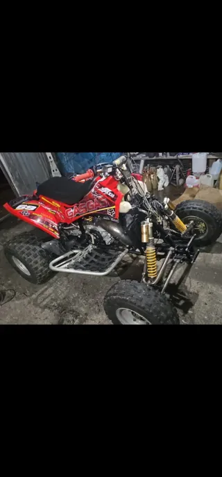 Despiece Gas Gas Wild 300 2T