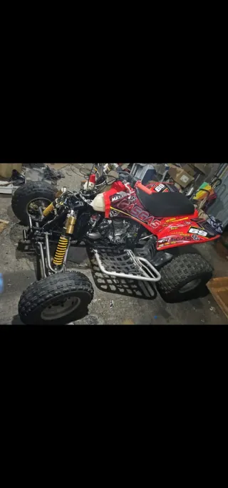 Despiece Gas Gas Wild 300 2T