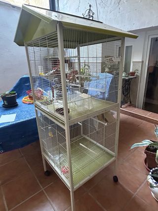 Pajarera verde y Blanca