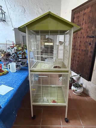 Pajarera verde y Blanca