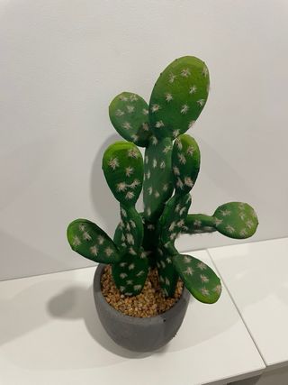 Figura decorativa cactus ¡NUEVA!
