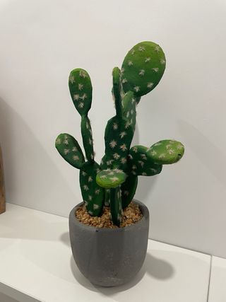 Figura decorativa cactus ¡NUEVA!