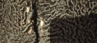 Abrigo de astracán YVONNE negro