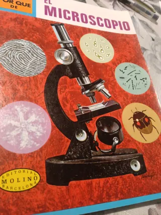 LOTE 3 LIBROS INFANTILES