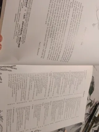 LOTE 3 LIBROS INFANTILES