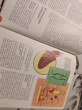 LOTE 3 LIBROS INFANTILES