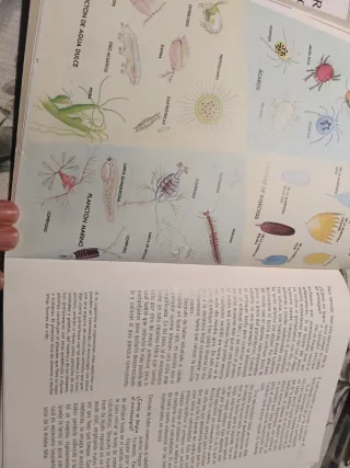 LOTE 3 LIBROS INFANTILES