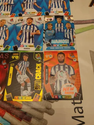 Real Sociedad Adrenalyn XL 25 26