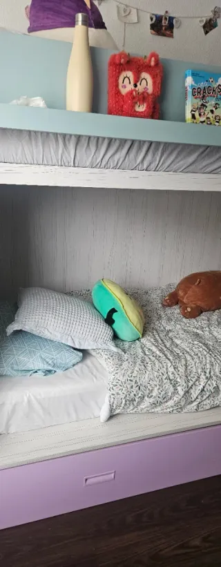 Litera juvenil compuesto por compartimiento para 3