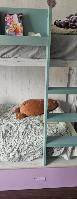 Litera juvenil compuesto por compartimiento para 3