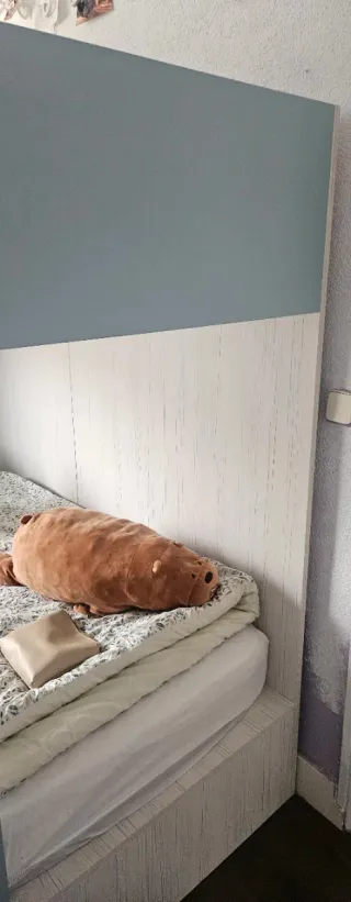 Litera juvenil compuesto por compartimiento para 3