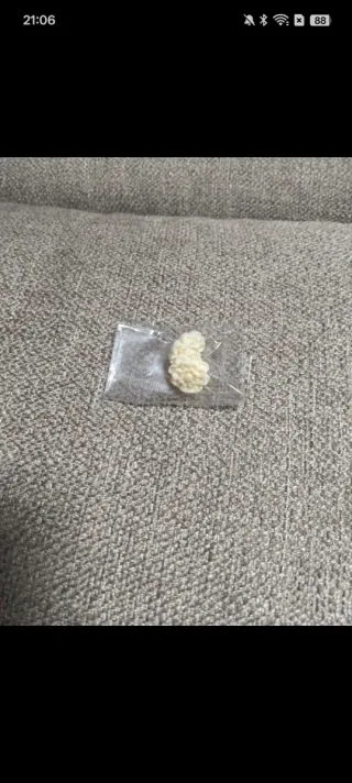 Pendientes beige y blancos de brillo sin estrenar