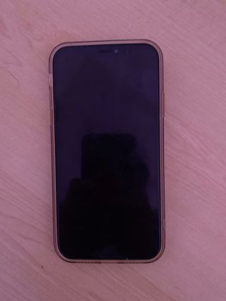 Iphone xr bateria al 100