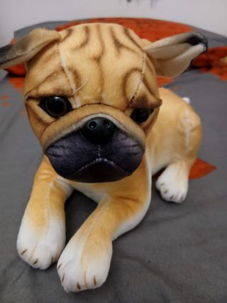 Peluche Cane Akita Inu Nuovo