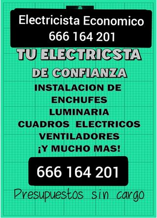 Electricista Económico - 666 164 201